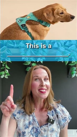 🐶😺 Pet Vocabulary #english