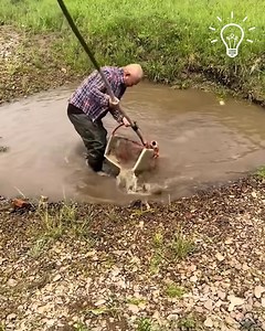 94K views · 245 reactions | Catching a fish like a pro! | Bushman prank | Facebook