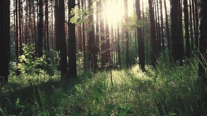 429K views · 151 reactions | Facebook is a community. It's about people with different experiences and cultures coming together to share their passions and dreams - and working to bring the world closer together. Find your community at Facebook: https://fb.careers/all | Life at Meta | Facebook