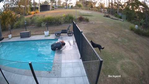 Distraction while leaf blowing leads to swimming pool fall