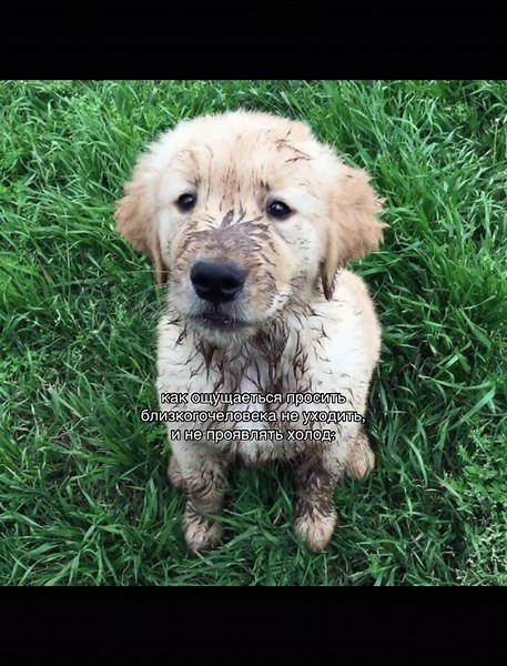 #щп #щпгрустные #рекомендации #adaawei #🥲 | sudden abandonment relationship