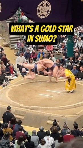What’s a Gold Star in Sumo?