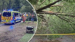 9News - Latest news and headlines from Australia and the world