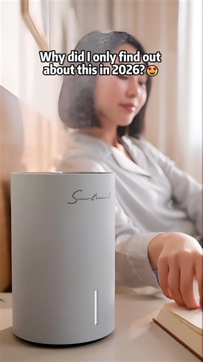 Scentiment Home Diffuser Mini: The Perfect Gift
