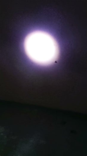 new sharphy testing Bhojpuri song #dj kamar lachke ke Chalo Marohiyo