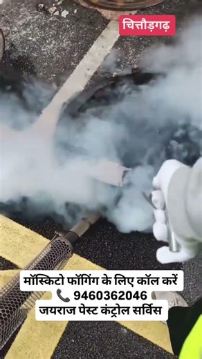 Mosquito Fogging #youtubeshorts #mosquito #foggingservices #foggingmachine #mosquitospray