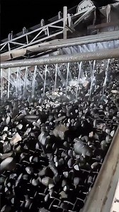 💧 Spray where it matters – on the screen, not the feeder.When designing a phosphate or aggregate was