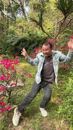 Identify This Flower: A Guide to Mountain Blossoms