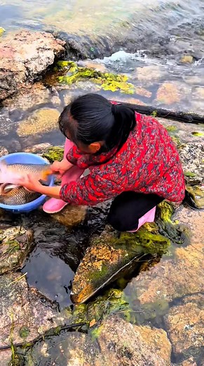 Fish Techniques Between Rocks 直 | Fishing Camp | Facebook