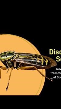 Insect Discoveries Redefining South African Ecology