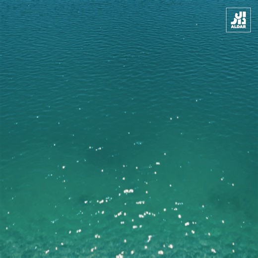 26 reactions | Well-being designed by the Sea, brought to life by Koichi Takada. Coming soon on Fahid Island. | Aldar | Facebook