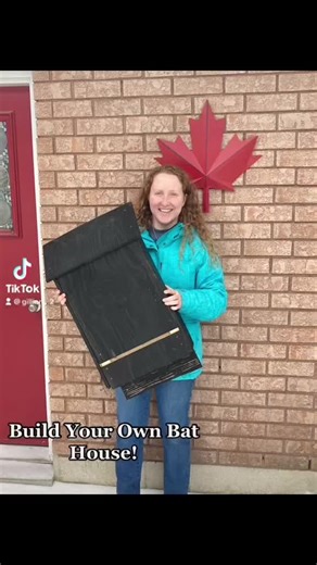 Learn to make your own bat house! #tutorial #bats #bathouse #Canada #Ontario #tiktok #conservation #conservationtok