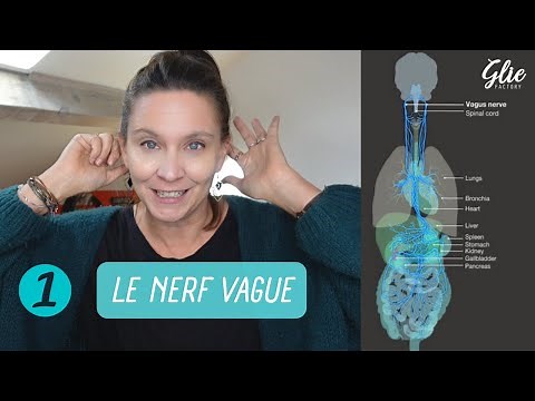 EVERYTHING YOU NEED TO KNOW about the VAGUE NERVE
