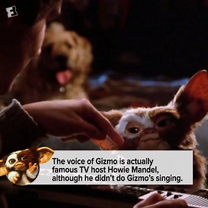 76K views · 545 reactions | Don't expose to bright light. Don't feed after midnight. Don't get wet. Three rules that gave us the Gremlins franchise. On the 30-year anniversary of The New Batch, we take a look back. | MOVIECLIPS | Facebook