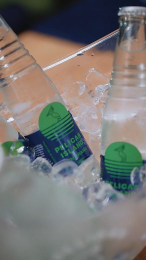 Down south, up the vibes — Tonic, Soda, Cola & Lemorang stealing the show. 📸✨ #PelicanFlight | Pelican Island Mixers