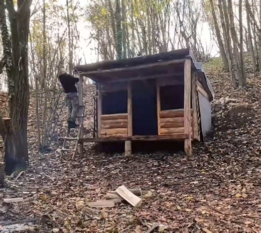 Building a Wilderness Shelter: Log Cabin Construction Part 2