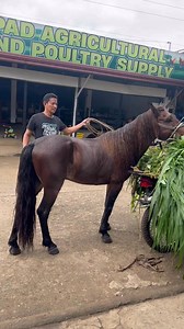 Milo’s Update after sa iyang fight atong March 8,2025.. #highlightseveryone #reelsvideoシ #fypシ゚ #virals #everyone #highlights #viralvideoシ #viralpost | Kimberly Maravillas