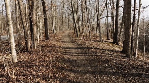 8.3K views · 29K reactions | The story that stunned the nation — two teenage girls brutally murdered. Now, new details, new interviews, and see the entire video on the bridge for yourself. “Capturing Their Killer: The Girls on the High Bridge” premieres August 5 on Hulu and Hulu on Disney+. | ABC News Studios | Facebook