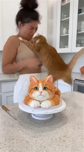 Funniest Cat Reaction Ever — Protecting the Cake!