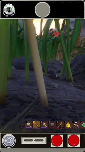 Pursued by a Stink Bug