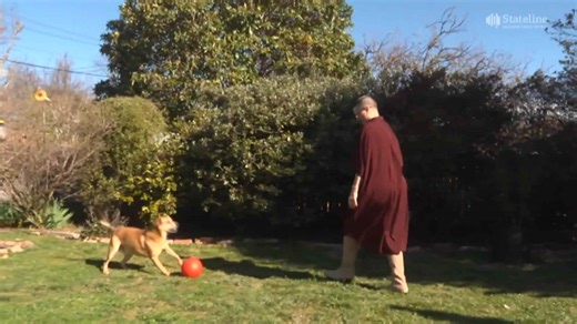 'Low levels of satisfaction' with healthcare in Canberra for endometriosis, menopause, identified in Women's Health Matters survey