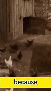 The Thirty-Foot Cloth: How The Wizard of Oz Created a Terrifying Tornado Without CGI