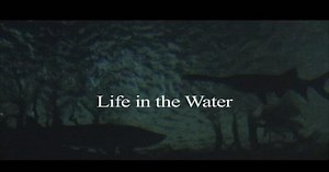 The Natural Heritage of Indiana