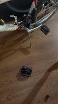 Harper, another robot I programmed, having fun next to my bike (Moorebot Scout with custom code)