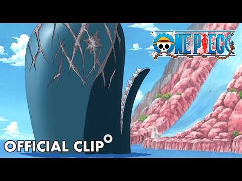 Laboon's 1st Appearance l ONE PIECE l Episode 62