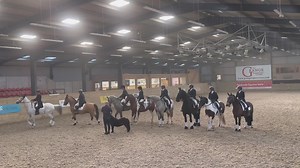 19K views · 1.3K reactions | Patrick had a fantastic day at All-Steps Formation Riding ❤️   ❤️   ❤️   ❤️   ❤️   ❤️   ❤️   | The Adventures Of Patrick The Pony | Facebook
