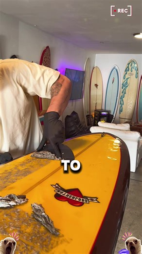 Managing Work Stress: Responding to Emails Around the Clock