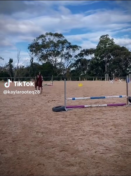 lots of fun today! did flat for about 20 mins then went bareback and had some fun for like 10 mins. please excuse me this is like probs the first time properly jumping bareback! @R 🧡 @Beth @Seren @Hayley   scooter @Gabby @Audrey all obviously deserve a tag ( soz if i forgot someone) #CapCut #fyp #fypp #fypシ #bareback #jumping #fypage #viral #java #proud #horseytrends #horse #trends #makemeviralplease