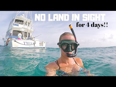 Fishing TRAVEL VLOG Part 1 - Blue Marlin, Grouper & Spearfishing in Turks & Caicos