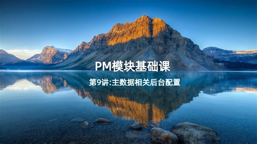 第9讲PM主数据相关后台配置