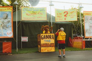 Photos From the Magic Capital of the World