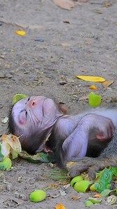 5.8M views · 1.3M reactions | Ooh sweetie Jonna sleeping very peacefully, why little baby sleeping like that! | Good Or Bad | Facebook