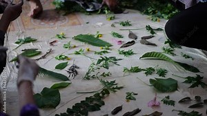 Eco print fabric that carries the concept of sustainable fashion. Using natural fibers, natural dyes and traditional steaming. Handmade, Eco print process.