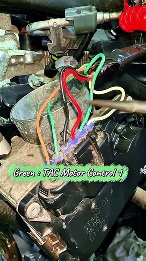 Wiring Secrets! Color Code Your Ride! 🚗 #carwiring #autorepair #electrician