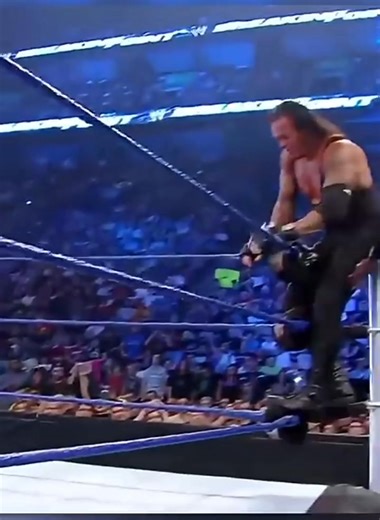 The Dead Man Undertaker Destroys punk 🔥💪! #TheUndertaker #WWELovers Aesthetic Edits | Aesthetic Edits