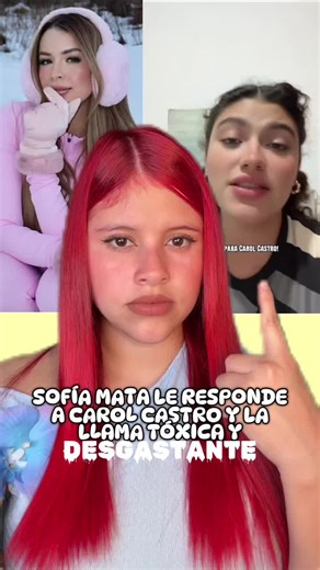 Sofía le dice que le hubiese encantado conocer a Arturo😟#sofiamata #carolcastro #polemica #chismestiktok #chisme