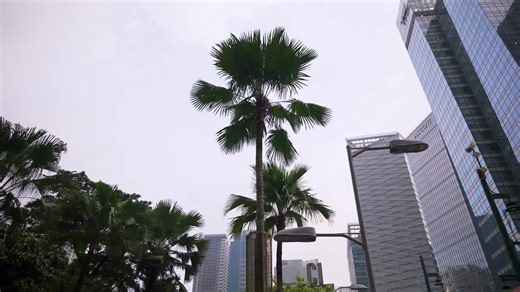 1.3K reactions · 55 shares | The Icon of Smartwatches takes the spotlight! The #HUAWEIWATCHGT6 Series showcases its elegance at One Bonifacio High Street along 5th Avenue, redefining the balance of fashion, sports, and health. Experience its bold design and innovative features up close — drop by and see how it’s redefining smart wearable style. #HUAWEIWATCHGT6Series | Huawei Mobile | Facebook