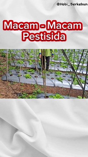 Hobi Berkebun on TikTok