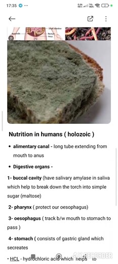 Types of nutrition #class10 #lifeprocess #science
