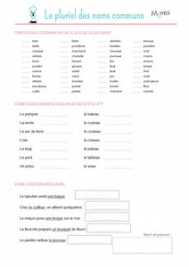 Imprimez ces exercices afin de vous entraîner à bien orthographier le pluriel des noms communs.
