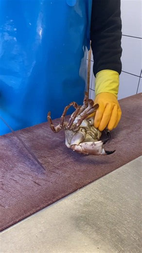 How to cut a Crab 🦀