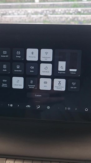 Cara Setting Rem Regeneratif di BYD Atto 1