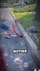 57K views · 52K reactions | Mother Duck Thanks Kind Woman for Helping Her Ducklings | Petsux | Facebook