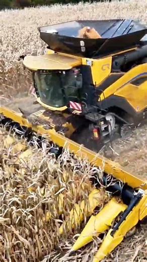 New holland at harvesting | Big Machines