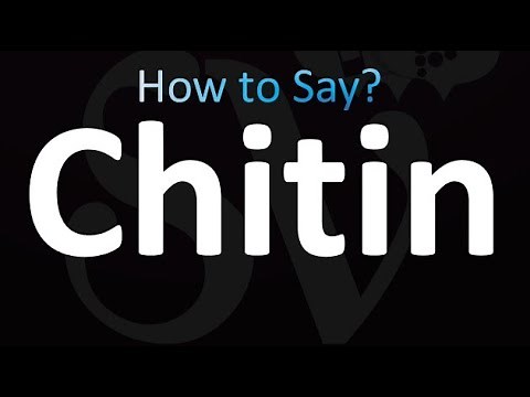 How to Pronounce Chitin (correctly!)