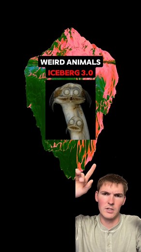 Weird Animals iceberg 3.0 EXPLAINED | Psychopoly